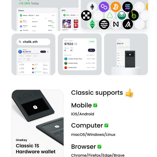 OneKey Classic 1S Pure