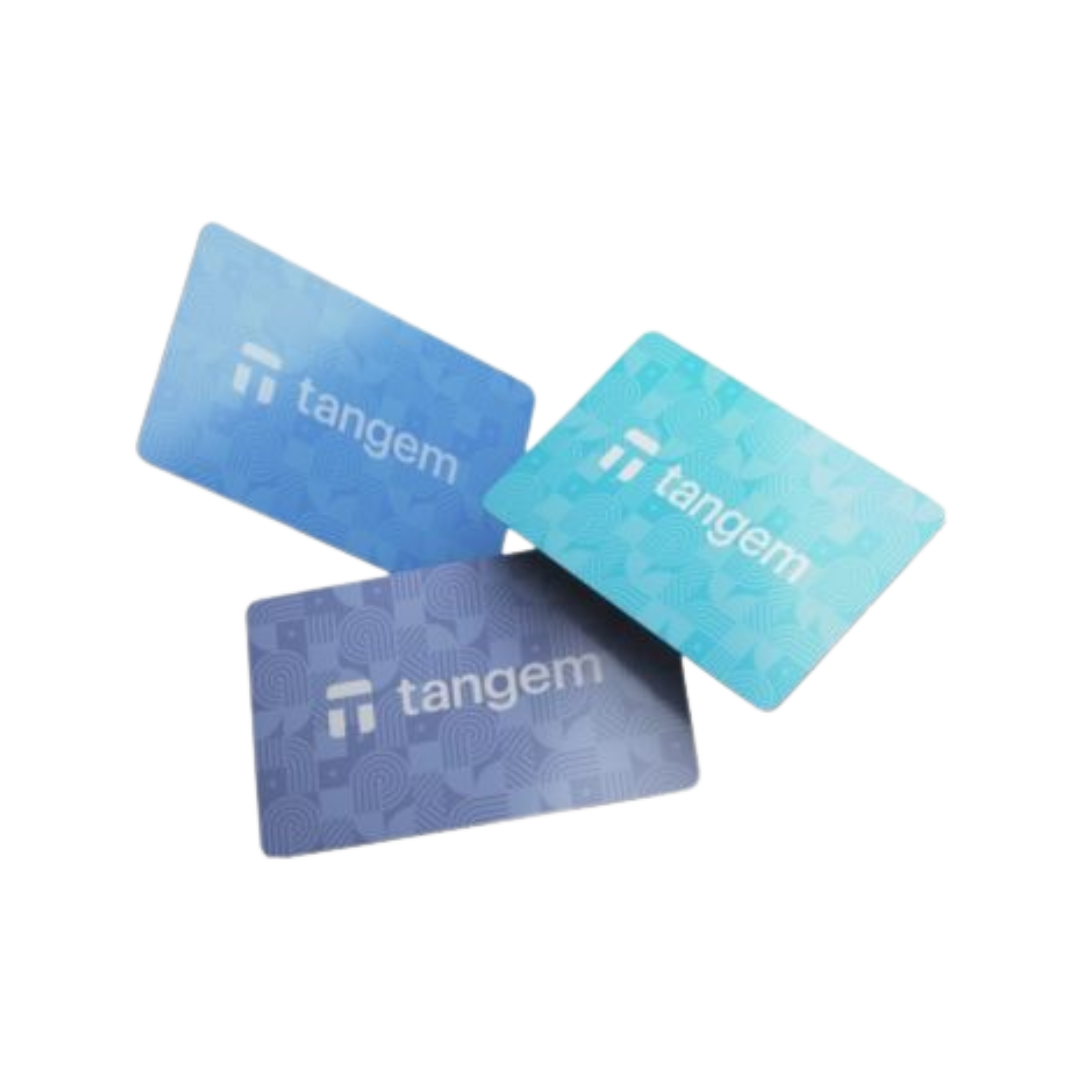 Tangem Edição Limitada Winter 3 Cards